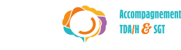 Forum Synapse 360